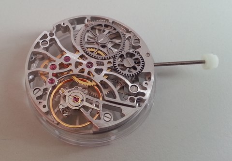 squelette 6497 S Sun rhodium